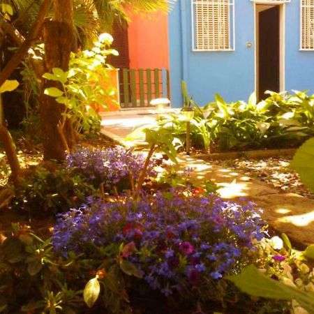 Eco B&B I Due Oleandri Марина-ди-Каррара Экстерьер фото